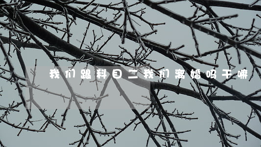 我们跟科目二我们离婚吗干嘛