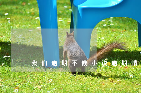我们逾期不候小说(逾期情不待 小说)
