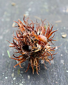 我來(lái)貸欠3000上門(mén)(在我來(lái)貸欠款一年多,說(shuō)要上門(mén)調(diào)查,是真的嗎)