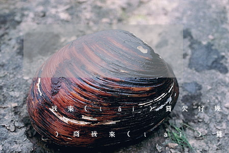 我來(lái)貸欠好幾筆怎么協(xié)商(我來(lái)貸可以貸幾筆)
