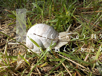 我來數(shù)科欠了一萬多逾期一年了-我來數(shù)科逾期一年半