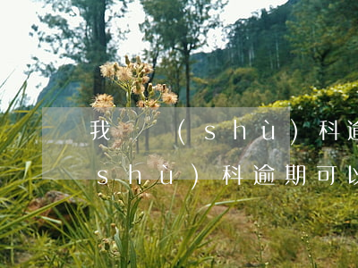 我來數(shù)科逾期不讓還款 我來數(shù)科逾期可以申請緩幾天還么
