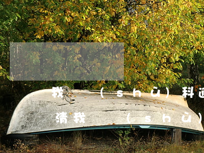 我來數(shù)科逾期減免結(jié)清(我來數(shù)科逾期減免結(jié)清)