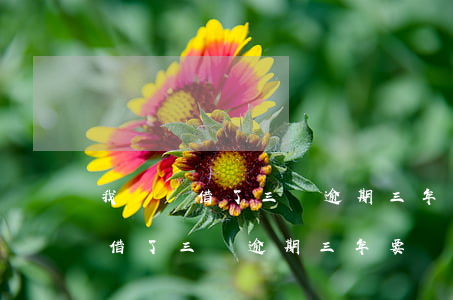 我來貸借了三萬逾期三年要還多少-我來貸借了三萬逾期三年要還多少利息