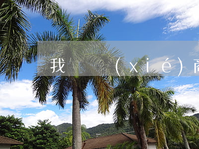 我來貸協(xié)商只還本金