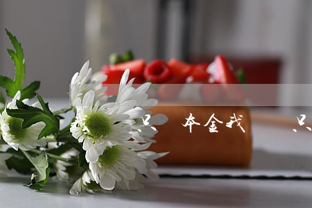 我來貸只還本金 我來貸只還本金