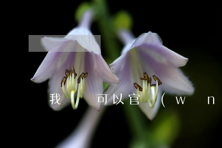 我來貸可以官網(wǎng)還款嗎