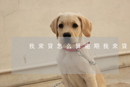 我來貸怎么算逾期(我來貸逾期第一天)