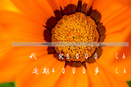 我來貸欠8000會(huì)上門嘛(貸款逾期4000多會(huì)不會(huì)上門)