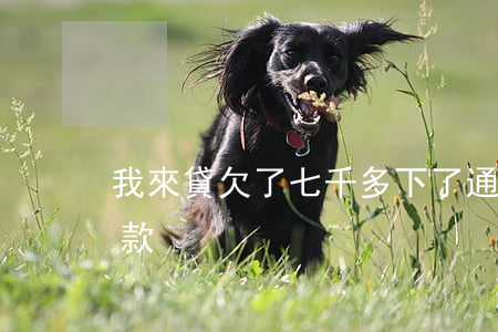 我來貸欠了七千多下了通知函(通知函說我欠款)