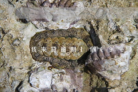 我來貸逾期1個(gè)月(我來貸逾期第一天)