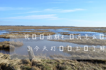 我來貸逾期4個月怎么辦-我來貸逾期三年了今天打電話上門了解情況