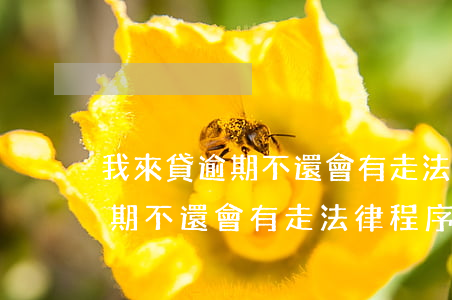 我來貸逾期不還會有走法律程序嗎(我來貸逾期不還會有走法律程序嗎)