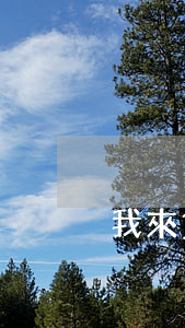我來貸逾期兩天有事嗎-貸款逾期了兩天