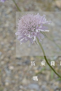 我來貸逾期怎么還款嗎(我來貸逾期怎么還款嗎)