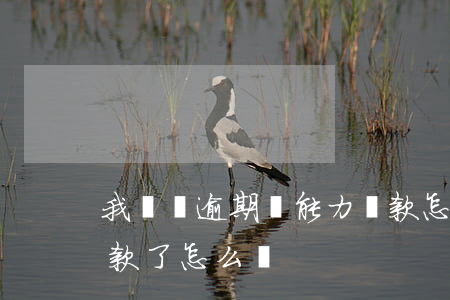 我來貸逾期沒能力還款怎么辦(逾期沒能力還款了怎么辦)