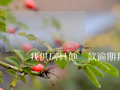 我供房其他貸款逾期(我供房其他貸款逾期)