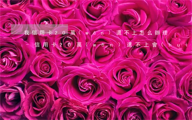 我信用卡20萬(wàn)還不上怎么辦理-信用卡20萬(wàn)還不上,會(huì)不會(huì)坐牢