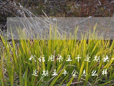 我信用卡五千逾期快一年了(信用卡5000逾期五年会怎么样)