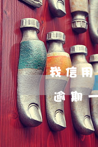 我信用卡五千逾期快一年了(信用卡5千額度逾期一年)