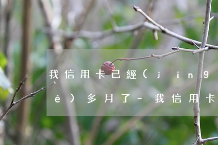 我信用卡已經(jīng)逾期了半個(gè)多月了-我信用卡已經(jīng)逾期了半個(gè)多月了怎么辦