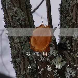 我信用卡已經(jīng)逾期了半個(gè)多月了怎么辦（我信用卡已經(jīng)逾期了半個(gè)多月了）