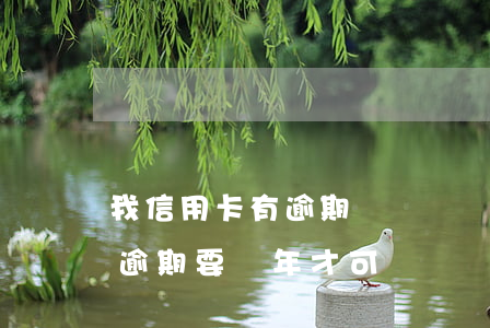 我信用卡有逾期過辦車貸可以過嗎?（信用卡有逾期要幾年才可車貸）