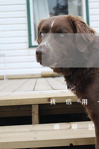 我信用卡有過逾期記錄怎么辦（我信用卡有過逾期記錄）