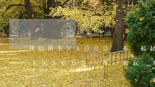我信用卡欠3000會不會被起訴-我信用卡欠3000會不會被起訴呢