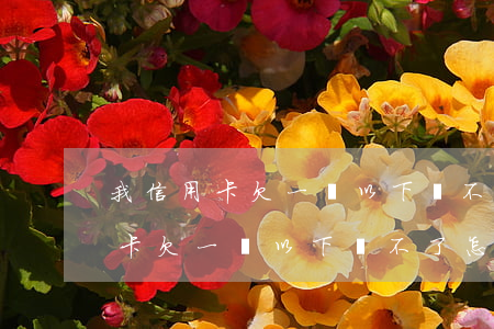 我信用卡欠一萬以下還不了怎么辦-我信用卡欠一萬以下還不了怎么辦呢