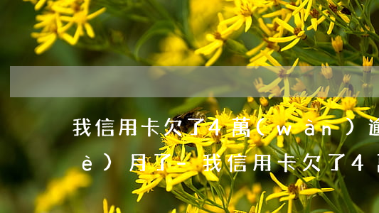 我信用卡欠了4萬(wàn)逾期4個(gè)月了-我信用卡欠了4萬(wàn)逾期4個(gè)月了怎么辦