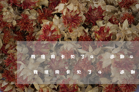 我信用卡欠了4萬逾期4個(gè)月了-我信用卡欠了4萬逾期4個(gè)月了怎么辦