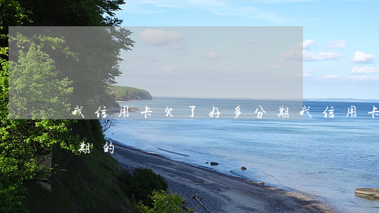 我信用卡欠了好多分期(我信用卡欠了好多分期的錢)