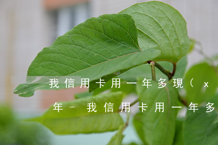 我信用卡用一年多現(xiàn)在逾期半年-我信用卡用一年多現(xiàn)在逾期半年了