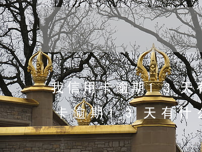 我信用卡逾期13天有什么影響嗎-我信用卡逾期13天有什么影響嗎怎么辦
