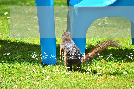 我信用卡逾期75天-信用卡5萬以內逾期90天,會怎么樣