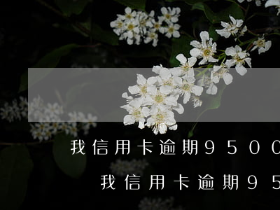 我信用卡逾期95000會(huì)判刑嗎(我信用卡逾期95000會(huì)判刑嗎嗎)