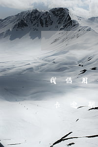 我信用卡逾期一个月,还了之后还能用吗（信用卡逾期一年还上后还能用吗）