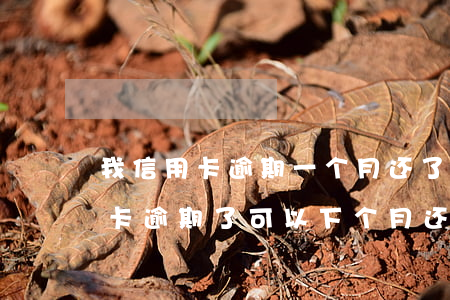 我信用卡逾期一个月,还了之后还能用吗（信用卡逾期了可以下个月还吗）
