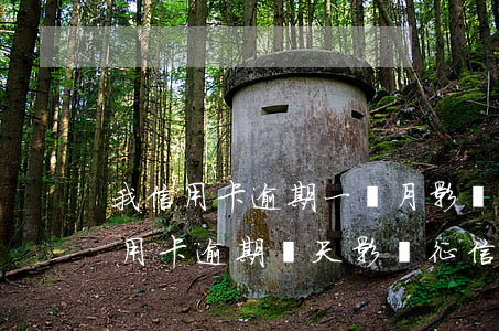 我信用卡逾期一個月影響大不大-一個月信用卡逾期幾天影響征信么