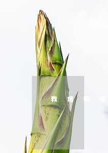 我信用卡逾期一天可以嗎