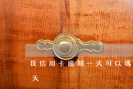 我信用卡逾期一天可以嗎（信用卡逾期兩次一天）