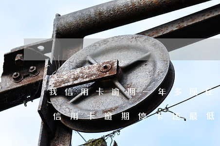 我信用卡逾期一年多现在还掉了还可以用吗（信用卡逾期停卡还最低还能用吗）