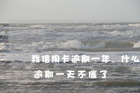 我信用卡逾期一年為什么銀行沒催我（信用卡逾期一天不催了）
