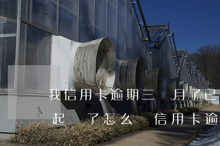 我信用卡逾期三個月了已經(jīng)被起訴了怎么辦（信用卡逾期被起訴要多久能消除）