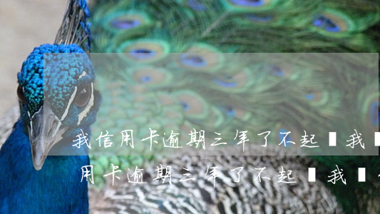 我信用卡逾期三年了不起訴我為什么-我信用卡逾期三年了不起訴我為什么還要還錢
