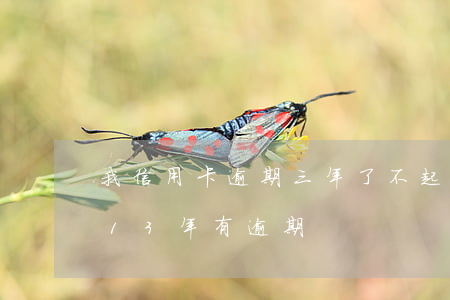 我信用卡逾期三年了不起訴我為什么（信用卡13年有逾期）