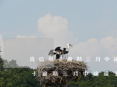 我信用卡逾期三月中途還了二千多-我信用卡逾期三月中途還了二千多怎么辦