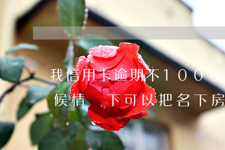 我信用卡逾期不10000(我信用卡逾期不候情況下可以把名下房產(chǎn)轉(zhuǎn)給父母嗎)