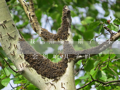 我信用卡逾期了会不会影响家人（信用卡逾期会影响儿子吗）